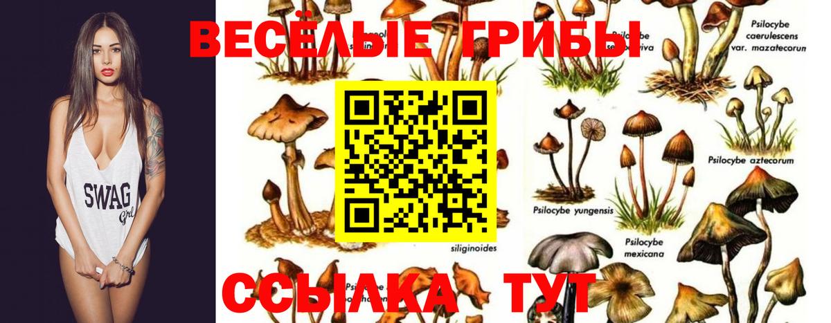 Галлюциногенные грибы Psilocybe  Галлюциногенные грибы MAGIC MUSHROOMS  Вход с VPN  Печора 