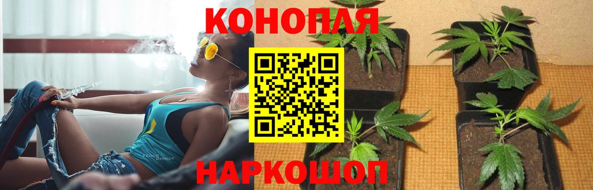 МАРИХУАНА VHQ Печора